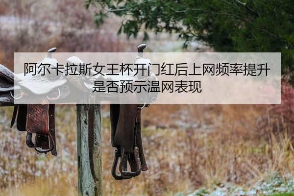 a-er-ka-la-si-nv-wang-bei-kai-men-hong-hou-shang-wang-pin-lv-ti-sheng-shi-fou-yu-shi-wen-wang-biao-xian-2-261.jpg
