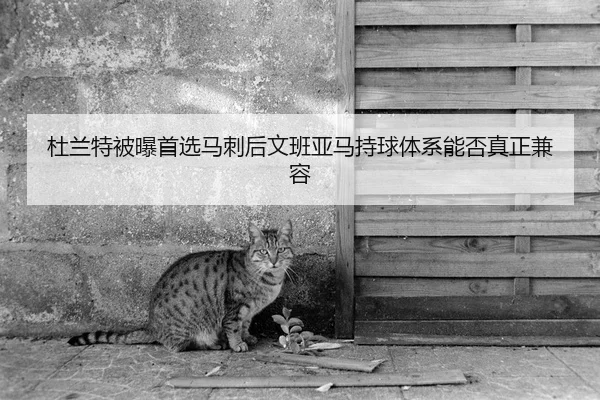 杜兰特被曝首选马刺后文班亚马持球体系能否真正兼容