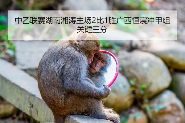 zhong-yi-lian-sai-hu-nan-xiang-tao-zhu-chang-bi-sheng-guang-xi-heng-chen-chong-jia-zu-guan-jian-san-fen-3-198.jpg