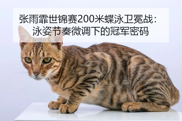 zhang-yu-fei-shi-jin-sai-mi-die-yong-wei-mian-zhan-yong-zi-jie-zou-wei-diao-xia-de-guan-jun-mi-ma-2-458.jpg